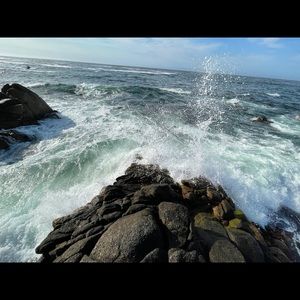 Meet your Posher, Nick